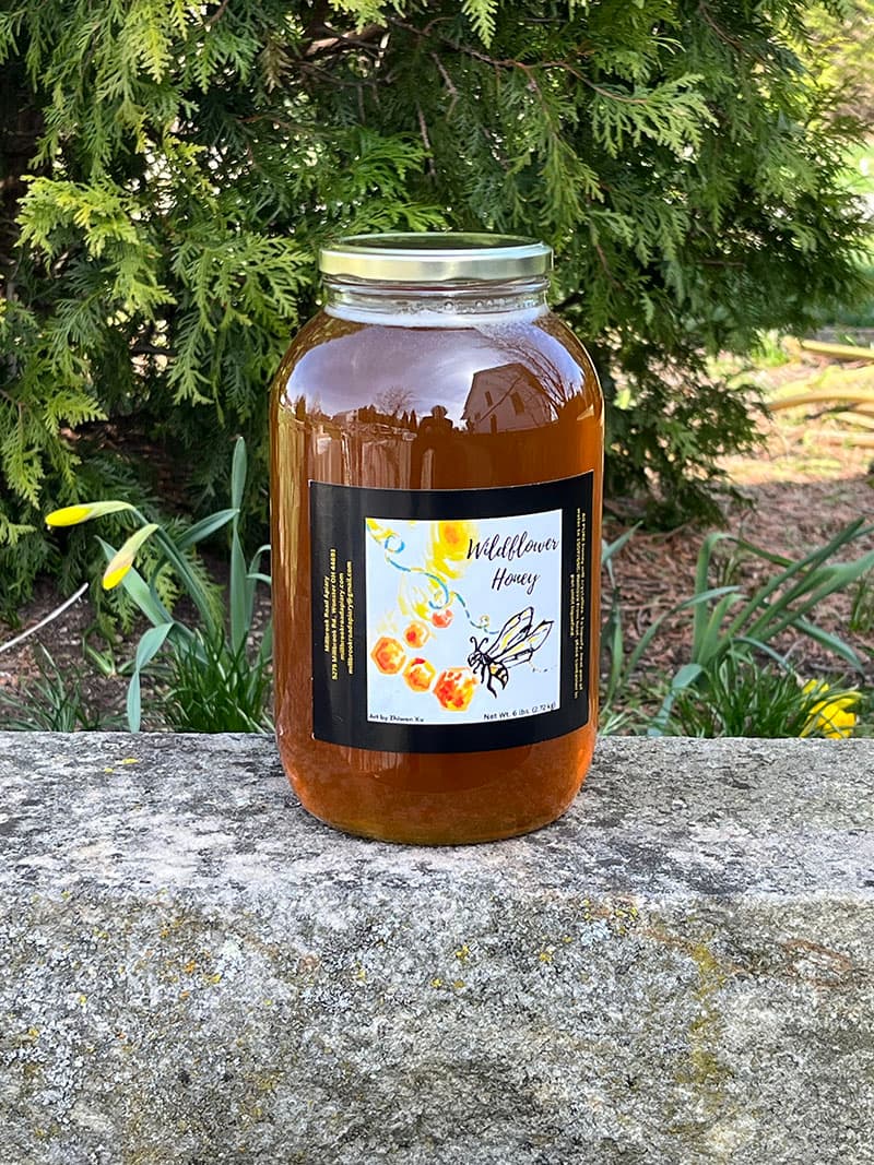 Wildflower Honey 6lbs - 64 fl oz