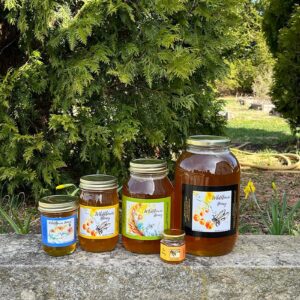 A collection of sizes for Wildflower Honey
