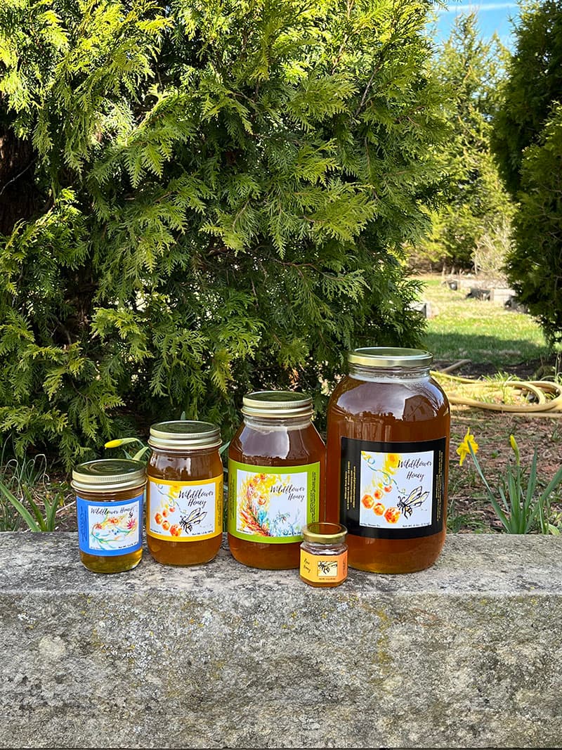 A collection of sizes for Wildflower Honey