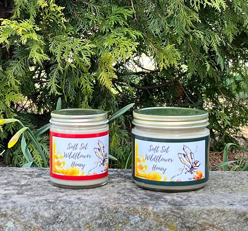 A collection of sizes for Soft Set Wildflower Honey