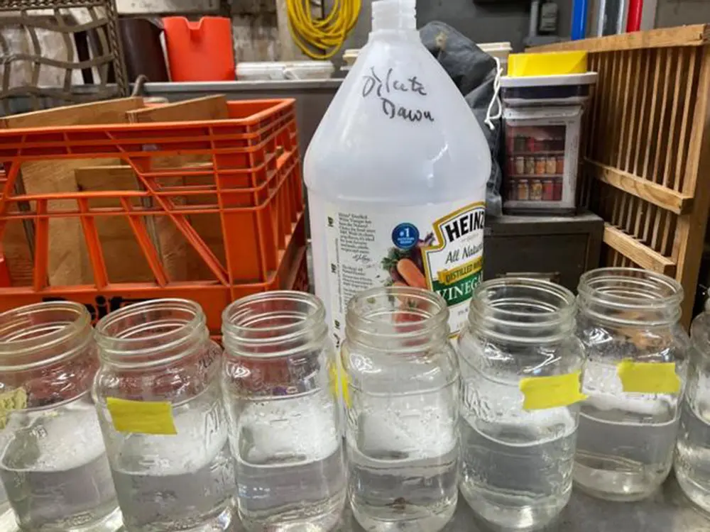 Varroa Mite Sampling